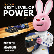Duracell Plus AA Alkaline Batteries 1.5V