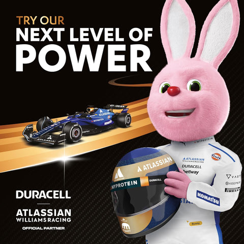 Duracell Plus AA Alkaline Batteries 1.5V
