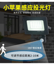 LED Floodlights 100W 50W 30W 20W 10W PIR Motion Sensor IP66 Waterproof LED 220V Hanging Exterior Outdoor Wall Lamp Spotlight