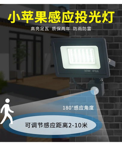 LED Floodlights 100W 50W 30W 20W 10W PIR Motion Sensor IP66 Waterproof LED 220V Hanging Exterior Outdoor Wall Lamp Spotlight