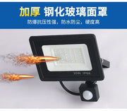 LED Floodlights 100W 50W 30W 20W 10W PIR Motion Sensor IP66 Waterproof LED 220V Hanging Exterior Outdoor Wall Lamp Spotlight