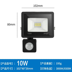 LED Floodlights 100W 50W 30W 20W 10W PIR Motion Sensor IP66 Waterproof LED 220V Hanging Exterior Outdoor Wall Lamp Spotlight