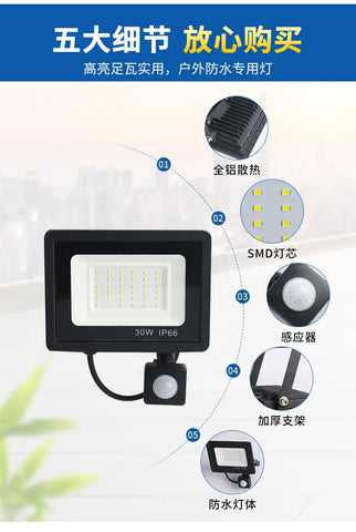 LED Floodlights 100W 50W 30W 20W 10W PIR Motion Sensor IP66 Waterproof LED 220V Hanging Exterior Outdoor Wall Lamp Spotlight