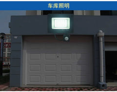 LED Floodlights 100W 50W 30W 20W 10W PIR Motion Sensor IP66 Waterproof LED 220V Hanging Exterior Outdoor Wall Lamp Spotlight