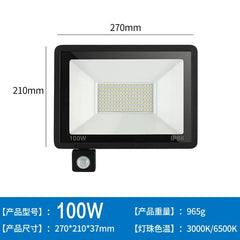LED Floodlights 100W 50W 30W 20W 10W PIR Motion Sensor IP66 Waterproof LED 220V Hanging Exterior Outdoor Wall Lamp Spotlight