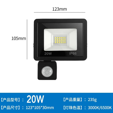 LED Floodlights 100W 50W 30W 20W 10W PIR Motion Sensor IP66 Waterproof LED 220V Hanging Exterior Outdoor Wall Lamp Spotlight