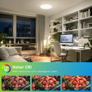 Round LED Ceiling Light Modern Home Decorative Ceiling Lighting Fixture 18/24/36/48W Living Room Bedroom Indoor Kitchen Lighting