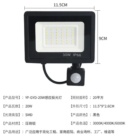 LED Floodlights 100W 50W 30W 20W 10W PIR Motion Sensor IP66 Waterproof LED 220V Hanging Exterior Outdoor Wall Lamp Spotlight